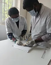 aroora rat dissection